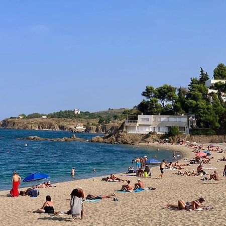 Studio Moderne Argeles Sur Mer.La Plage A Pieds, Espagne A 30Mn Apartman Kültér fotó