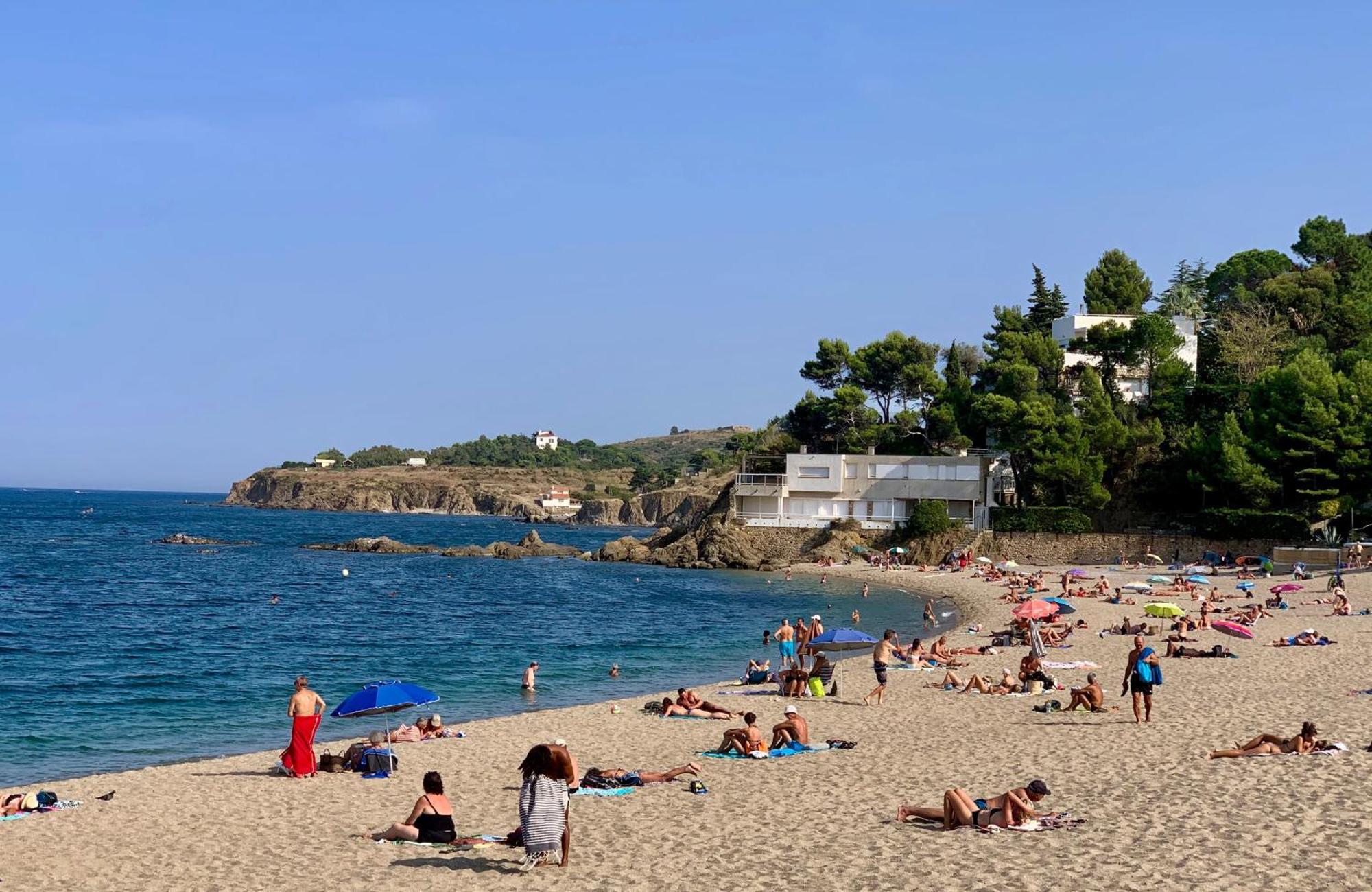 Studio Moderne Argeles Sur Mer.La Plage A Pieds, Espagne A 30Mn Apartman Kültér fotó